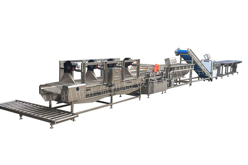 叶菜净菜加工设备生产线